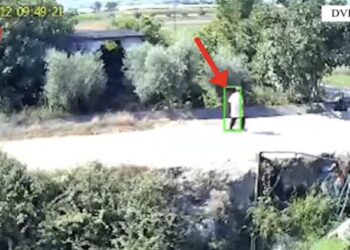 Arrestohen 5 piromanë në Berat dhe në Memaliaj, njërin e kap kamera (VIDEO)