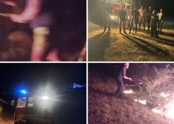 Zjarri në Parkun e Monellës, flakët shuhet me shkurre, lopata