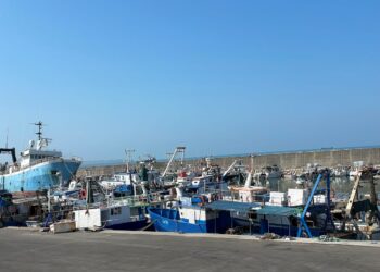 Të vetmit në Mesdhe/ Peshkimi pa ndërprerje në Shqipëri rrezikon rezervat detare