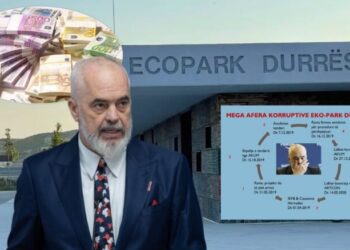 Eco Park, SPAK-Rama, kush “thyen” oborrin e kujt