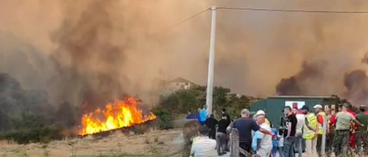 I vuri flakën fshatit nga inati që kishte me komshiun, zbardhet arsyeja e zjarrvënies në Gramsh nga 80-vjeçari