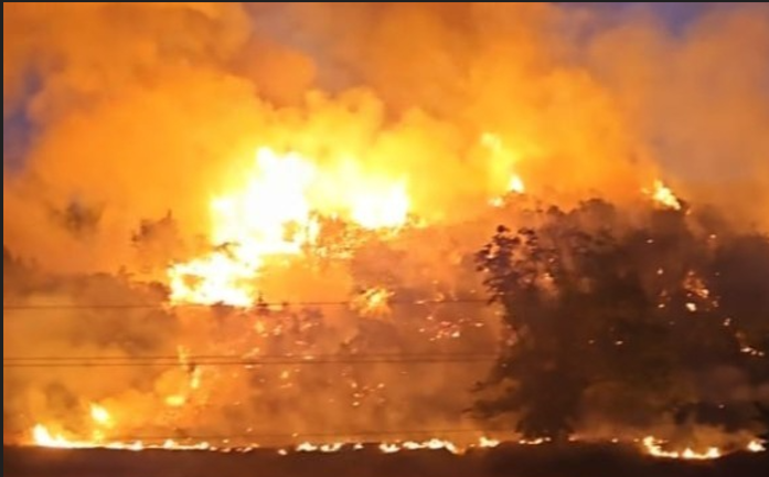 Vlorë/ Dy vatra të mëdha zjarri përfshijnë fshatin Kuç