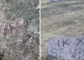 “Ik se do të vdesësh”/ Fermeri nga Puka qëllohet me armë zjarri në afërsi të banesës