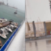 Stuhia në Durrës/ Trageti këput litarët, hekurat bien mbi anijet e tjera (VIDEO)