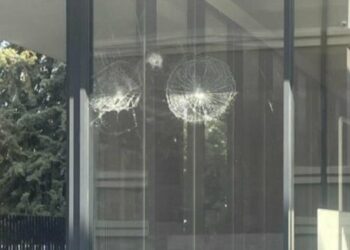 Protestë për aksionin e prishjes të objekteve: I riu thyen me gurë xhamat e bashkisë Korçë live në Tik Tok