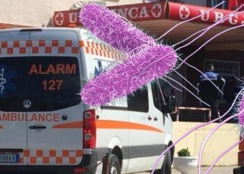 S’ka siguri për shqiptarët! Si u rritën rastet me salmonelë dhe helmim nga ushqimi