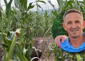 Kosovë/ U gjet i groposur 1 km larg banesës së tij, Enver Bajraktari dyshohet se është vrarë me mjete të forta