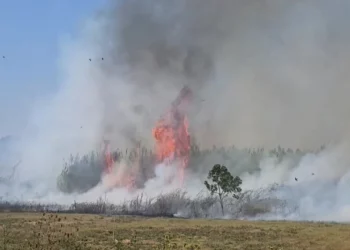 Tymi mbulon qytetin e Fierit, zjarret në dy fshatra djegin tokat bujqësore