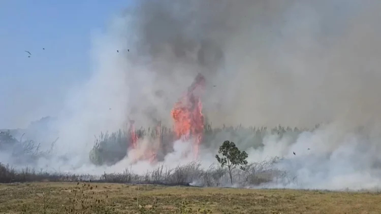 Tymi mbulon qytetin e Fierit, zjarret në dy fshatra djegin tokat bujqësore