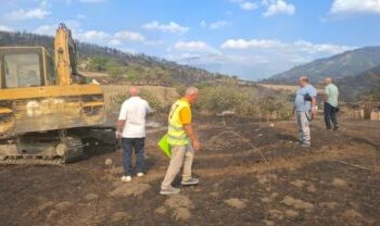 Rrezik epidemie nga kafshët dhe bagëtitë e prekura nga flakët