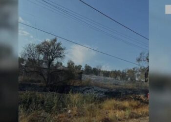 Arrestim për zjarrvënie në Kavajë, u dogj një sipërfaqe e madhe toke me pemë frutore