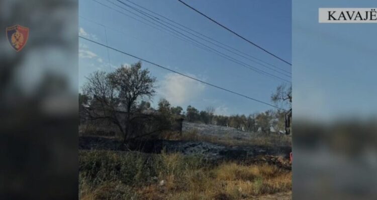 Arrestim për zjarrvënie në Kavajë, u dogj një sipërfaqe e madhe toke me pemë frutore