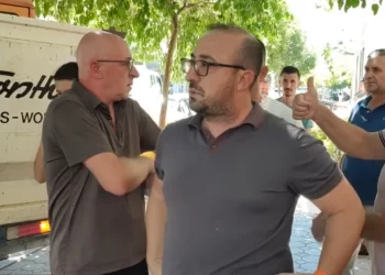 Saimir Korreshi kundërshton aksionin për “lirimin e hapësirave”: Pemët janë mbjellë para 30 vitesh