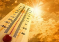 Sot kthehet i nxehti afrikan, temperatura deri në 39 gradë