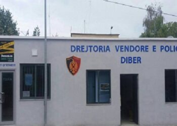 Plagosi me thikë nënën e tij pas një konflikti, arrestohet 26-vjeçari në Maqellarë