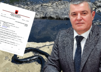 Albpetrol pranon ndotjen e Vjosës, tjetër tender për izolimin e rrjedhjes së naftës në Gorisht