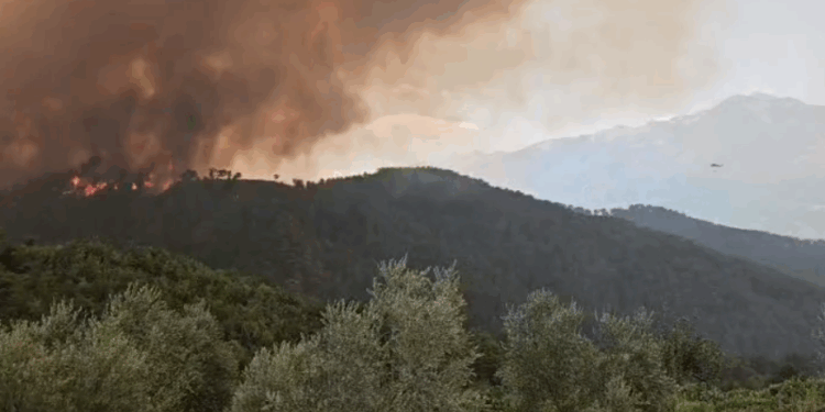 Ndezi zjarr, por u përhap në disa fshatra! Humb jetën mes flakëve i moshuari në Gramsh