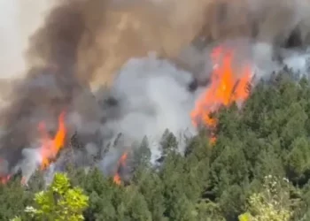 Shqipëria në flakë! Kronikë e zjarreve të paralajmëruara