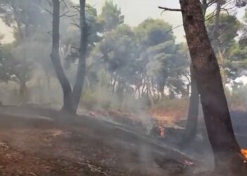 Vijon zjarri pranë lagunës së Nartës, edhe dy helikopterë për shuarjen e flakëve
