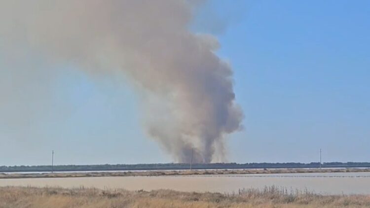 Zjarri përfshin pyllin me pisha pranë lagunës së Nartës