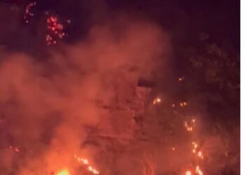 Zjarr në një përrua të Gjirokastrës, flakët rrezikojnë dhe shtëpitë e Dunavatit