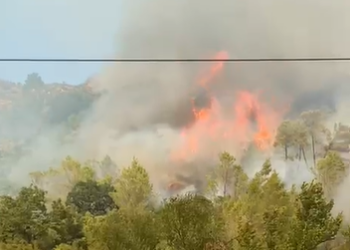 Zjarr pranë Syrit të Kaltër, turistët evakuohen, në rrezik parku rreth burimit