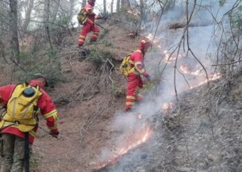Zjarr në Miras të Devollit, flakët përhapen në një sipërfaqe pyjore