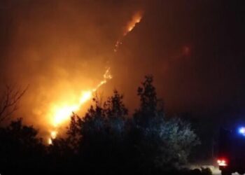 Zjarr në një përrua të Gjirokastrës, flakët rrezikojnë dhe shtëpitë e Dunavatit