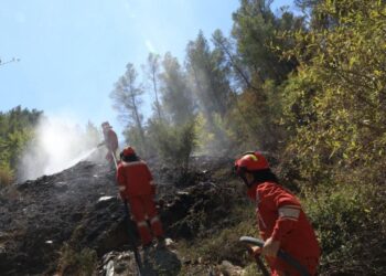 Shuarja e zjarreve/ Vendimi i qeverisë: 1 deri në 3 paga mujore për efektivët e FA, Policisë dhe Mbrojtjes Civile