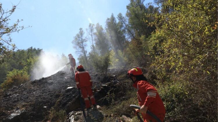 Shuarja e zjarreve/ Vendimi i qeverisë: 1 deri në 3 paga mujore për efektivët e FA, Policisë dhe Mbrojtjes Civile