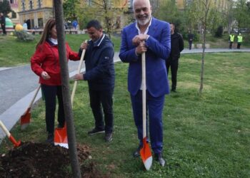 Rama imiton Veliajn: Një pemë për çdo karrige që lokalet duan të mbajnë në hapësirat publike