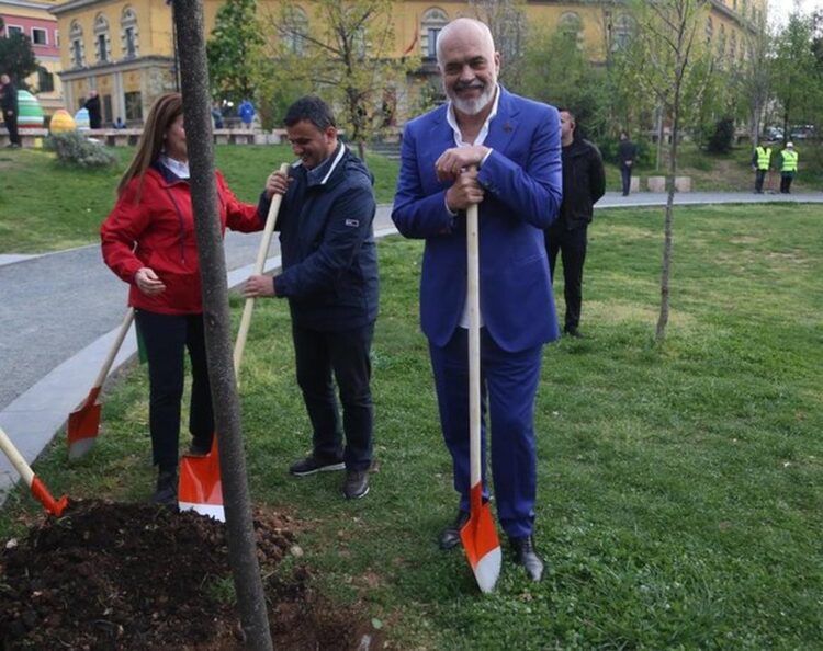 Rama imiton Veliajn: Një pemë për çdo karrige që lokalet duan të mbajnë në hapësirat publike