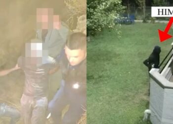 Vidhnin vila në bregdetin e Jugut, arrestohen 3 grabitësit nga Saranda, u gjenden edhe armë – Video
