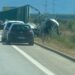 Ndërron jetë shoferi, udhëtari plagoset rëndë në autostradën Fier-Vlorë, makina e turistes goditi nga pas kamionçinën