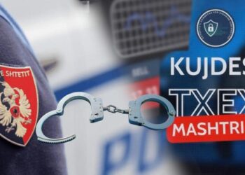 Aksion kundër firmave piramidale online, 6 të arrestuar dhe 2 në kërkim (Emrat)