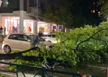 Era thyen degën e pemës, bllokohet qarkullimi në Rrugën e Elbasanit