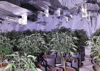 Mbyllen shtëpitë e barit në Birmingham, gjenden para dhe 2 kg kokainë