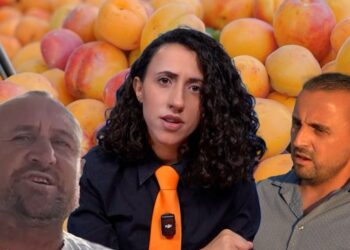 Grosisti nga Lushnja nuk i paguan miliona lekë fermerit nga Peqini: Ishin të prishura