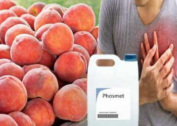 Godet zemrën, shqiptarët konsumuan 7300 kg pjeshkë me pesticidin “Phosmet”