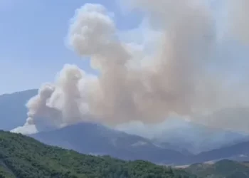 Zjarr në Parkun e Butrintit, flakët përfshijnë zonën e gjelbër