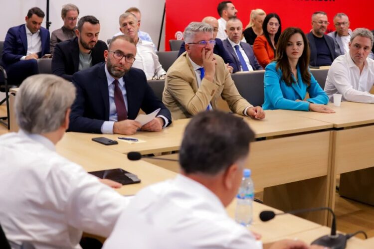 PD zgjedh nënkryetarin e Kuvendit dhe drejtuesin e grupit parlamentar