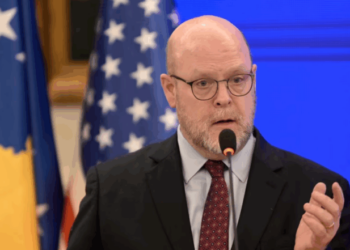 Hovenier: Deklaratat e Kurtit kundër Gjykatës Kushtetuese çuan në pezullimin e Dialogut Strategjik