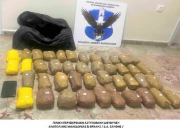 Transportoi drogë nga Shqipëria në Greqi, arrestohet shqiptari me 21.5 kg drogë