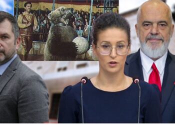 Ç’tregon loja e Ramës me arushën Silva