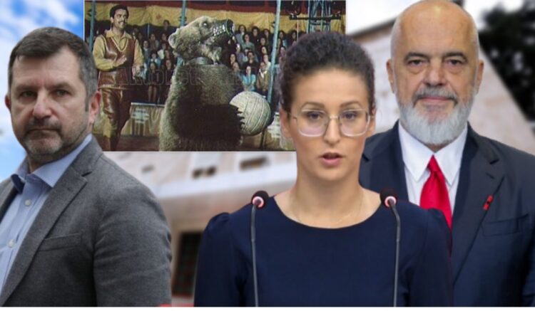 Ç’tregon loja e Ramës me arushën Silva