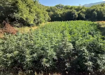 I shpallur në kërkim ndërkombëtar për drogë, arrestohet në Malin e Zi 31-vjeçari shqiptar (Emri)