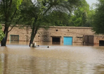 Përmbytjet shkatërruese në Pakistan dhe Indi, 4 milionë të prekur nga kriza