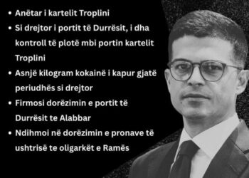 Berisha publikon ‘CV’-në e ministrit Pirro Vengu: Lidhje me kartelin Troplini dhe…