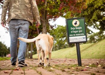 Bolzano ankohet për pastërtine: Propozohet taksë për qentë dhe pronarët e tyre