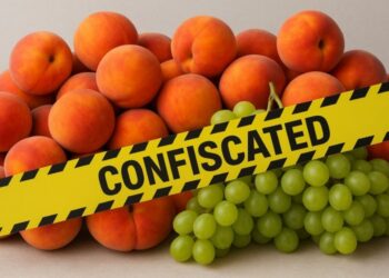 Rrushi dhe pjeshkët greke me pesticide të ndaluara, rrezikojnë shëndetin dhe rrisin kancerin